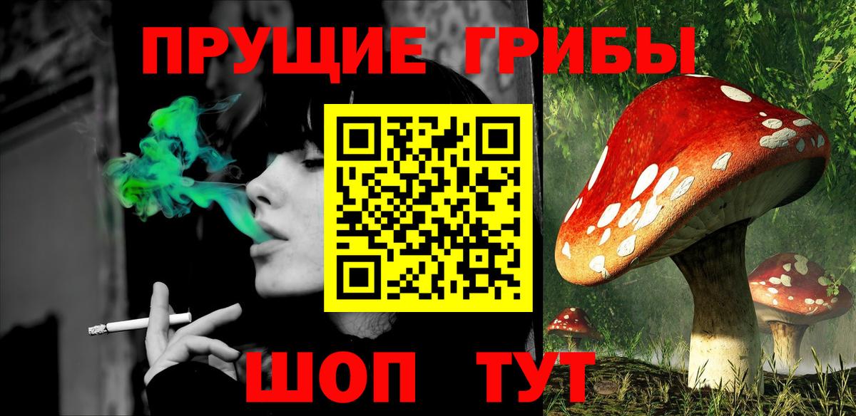 Псилоцибиновые грибы MAGIC MUSHROOMS Камышин