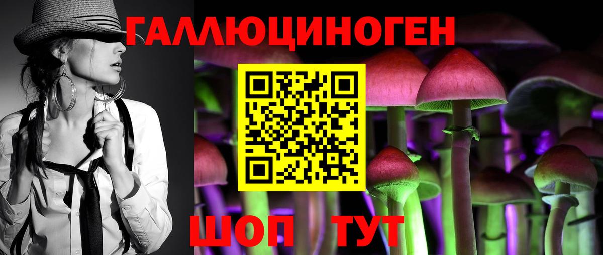 Камышин  Галлюциногенные грибы Psilocybe  Галлюциногенные грибы Cubensis  Вход с VPN 